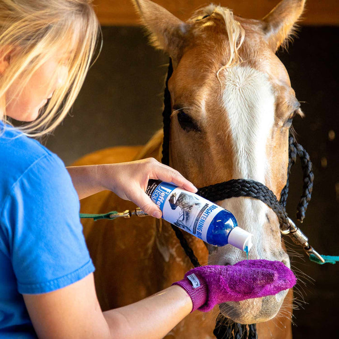 Jeffers Equine Brightening Blue Whitening Horse Shampoo - TZB6 - 16 oz - 4