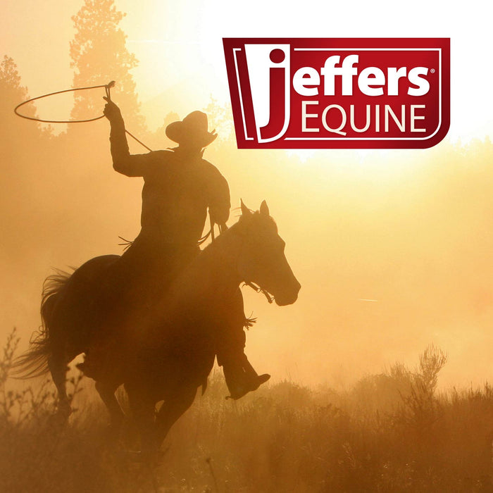 Jeffers Expression Horse Fan Bag - JEF2KB - Skater Cowgirl - 21