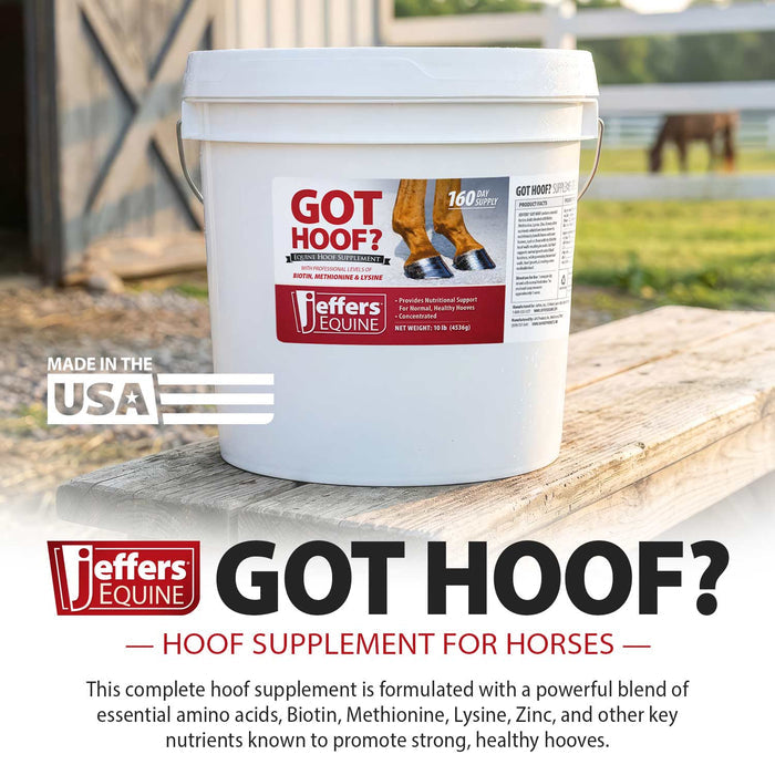 Jeffers Got Hoof? Hoof Builder Supplement for Horses, Powder