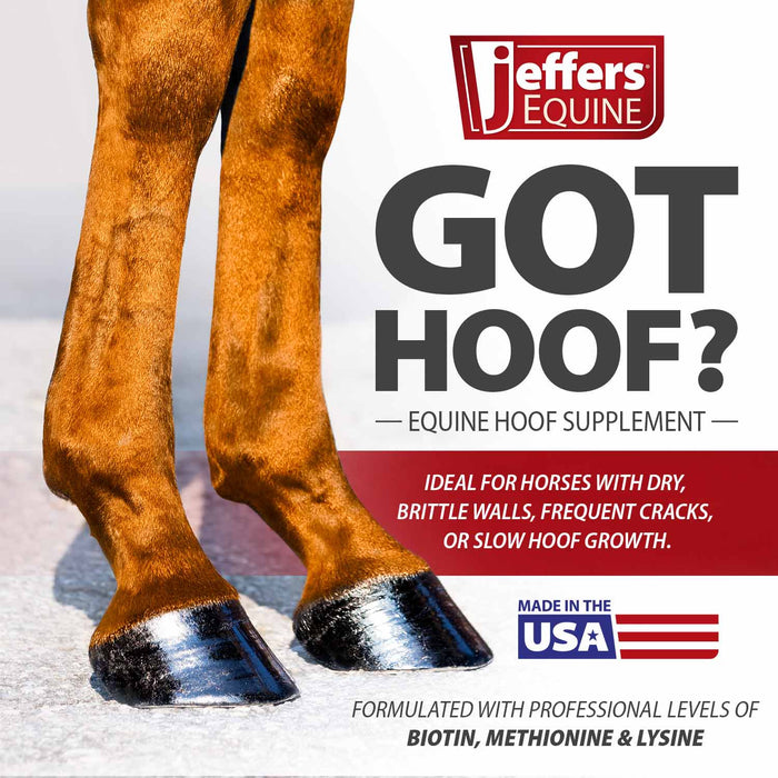 Jeffers Got Hoof? Hoof Builder Supplement for Horses, Powder