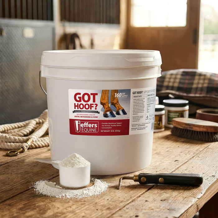 Jeffers Got Hoof? Hoof Builder Supplement for Horses, Powder