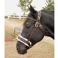 Jeffers Lunging Cavesson with Fleece - Lined Nose for Horses, 800 - 1200 lbs - T3L1 - 1