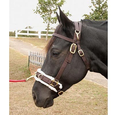 Jeffers Lunging Cavesson with Fleece - Lined Nose for Horses, 800 - 1200 lbs - T3L1 - 1