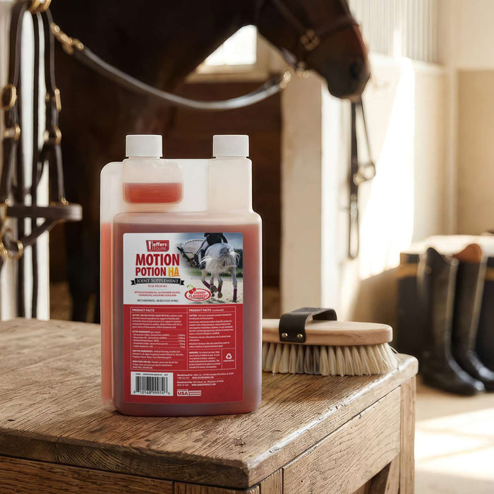 Jeffers Motion Potion Equine Joint Supplement Liquid with HA