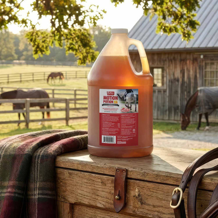 Jeffers Motion Potion Equine Joint Supplement Liquid with HA