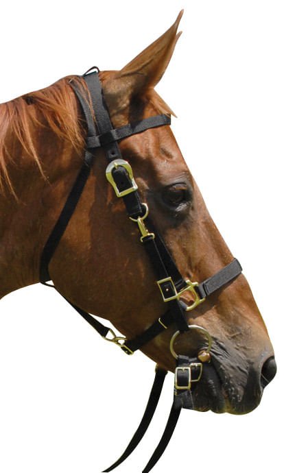 Jeffers Nylon Combination Horse Halter Bridle with Reins - SS39 - Black - 1
