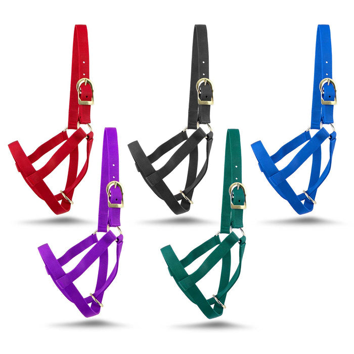 Jeffers Nylon Cow Halter - SSF3 - Small (250 - 450 lbs) - Red - 2