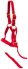 Jeffers Nylon "Grow With Me" Weanling Horse Halter, 3/4"W - SSGU - Red - 2