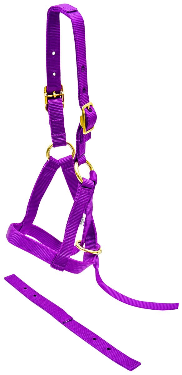 Jeffers Nylon "Grow With Me" Weanling Horse Halter, 3/4"W - SSGX - Purple - 4