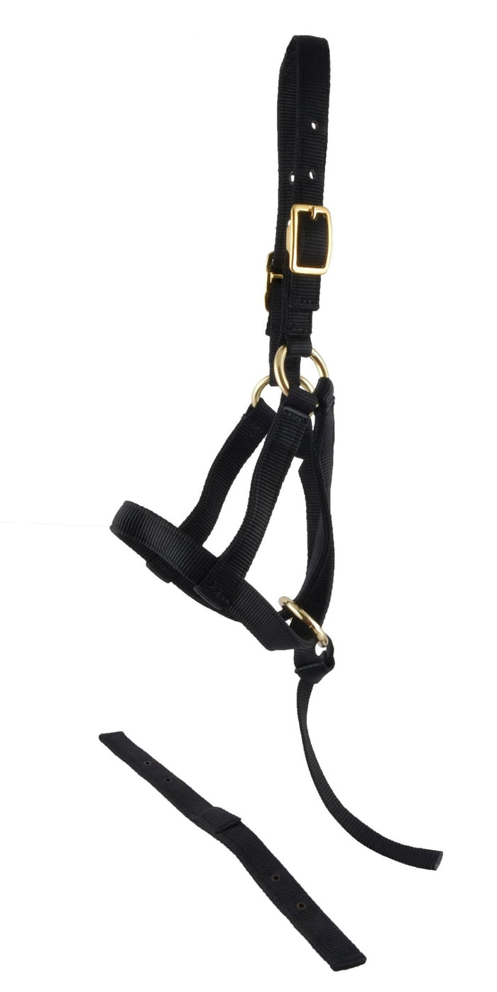 Jeffers Nylon "Grow With Me" Weanling Horse Halter, 3/4"W - SSGV - Black - 5