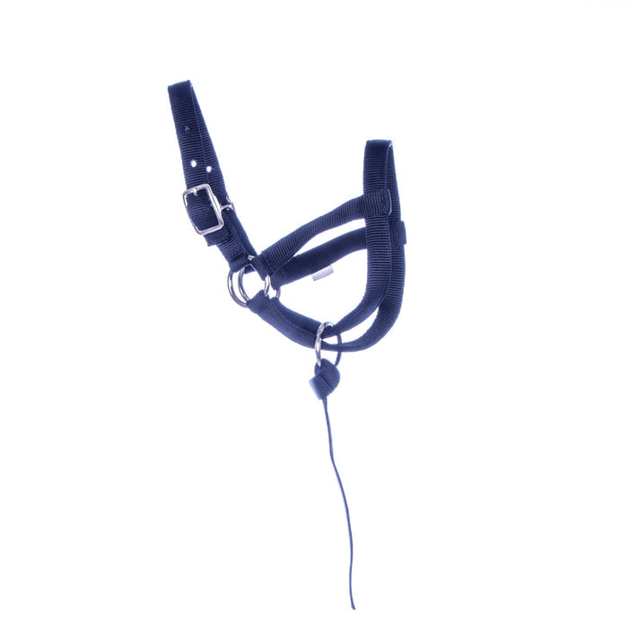 Jeffers Nylon Llama Halter with Catch Strap - SSLC - Adult - Black - 1
