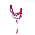 Jeffers Nylon Llama Halter with Catch Strap - SSLA - Adult - Red - 2