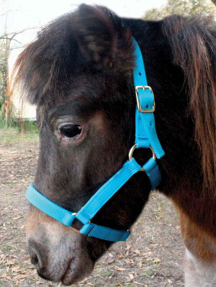 Jeffers Nylon Miniature Horse Halters, 2 - Ply, 3/4" - SSRL - Mini Yearling (Under 100 lbs) - Red - 1