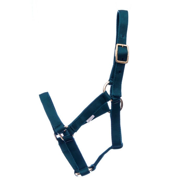 Dark Green / Mini Yearling (Under 100 lbs)
