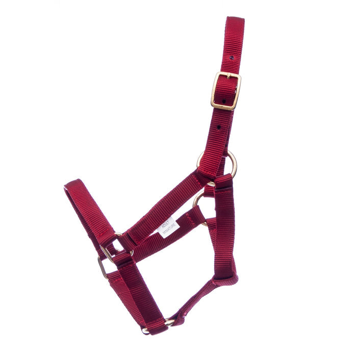 Jeffers Nylon Miniature Horse Halters, 2 - Ply, 3/4" - SSRB - Mini 2 - Yr Old (Under 200 lbs) - Red - 4