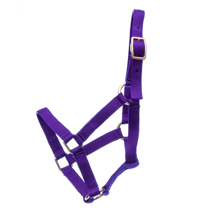 Jeffers Nylon Miniature Horse Halters, 2 - Ply, 3/4" - SSRG - Mini 2 - Yr Old (Under 200 lbs) - Purple - 5