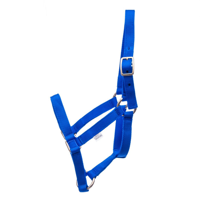 Jeffers Nylon Miniature Horse Halters, 2 - Ply, 3/4" - SSRC - Mini 2 - Yr Old (Under 200 lbs) - Royal Blue - 6