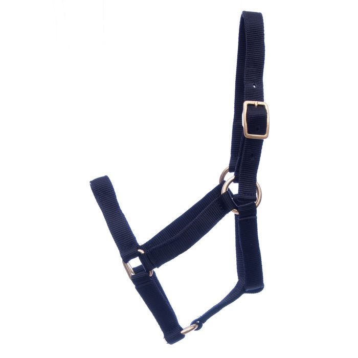 Jeffers Nylon Miniature Horse Halters, 2 - Ply, 3/4" - SSRD - Mini 2 - Yr Old (Under 200 lbs) - Black - 7