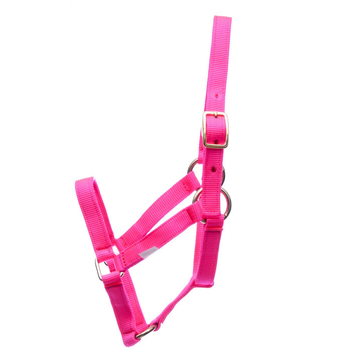 Jeffers Nylon Miniature Horse Halters, 2 - Ply, 3/4" - SSRJ - Mini 2 - Yr Old (Under 200 lbs) - Hot Pink - 8