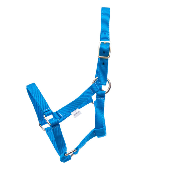 Turquoise / Mini Yearling (Under 100 lbs)