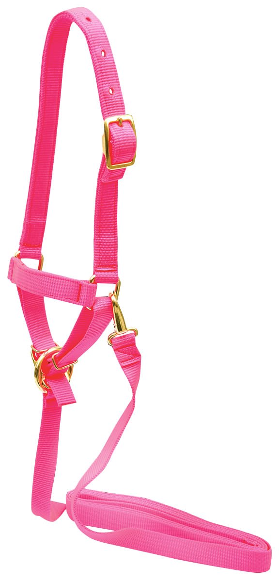 Jeffers Nylon Sheep Halter & Lead Set, 3/4" x 6' Lead - SSE5 - Pink - 4