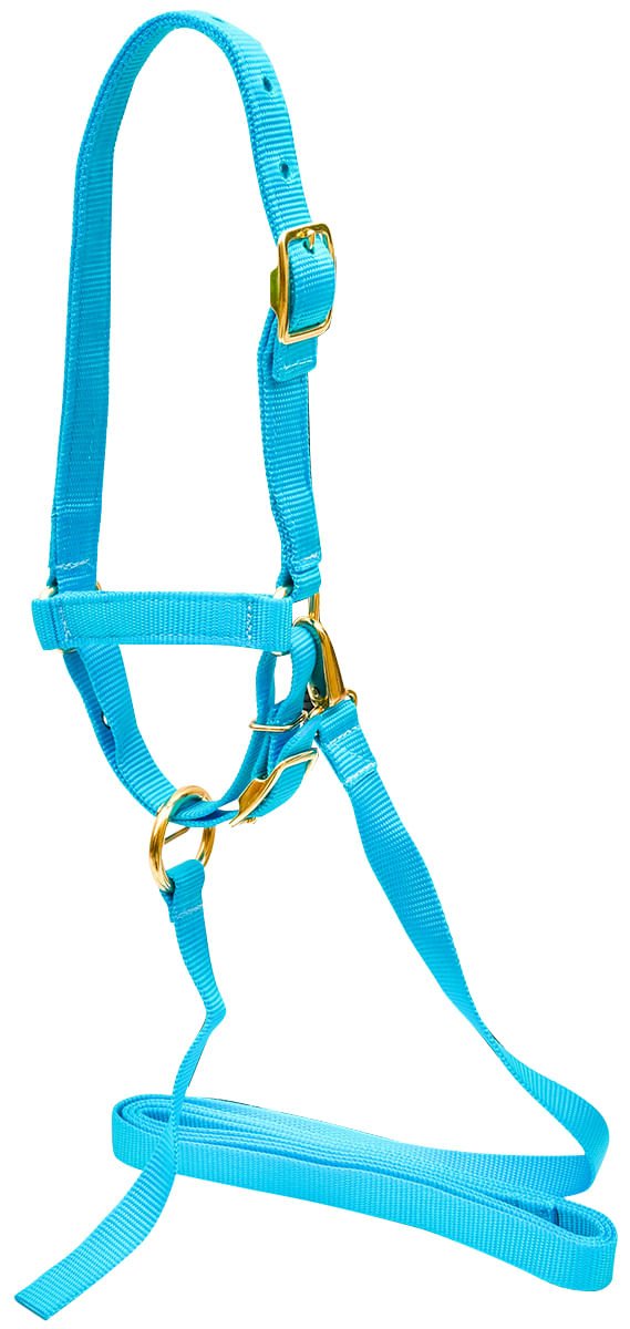 Jeffers Nylon Sheep Halter & Lead Set, 3/4" x 6' Lead - SSE6 - Turquoise - 5