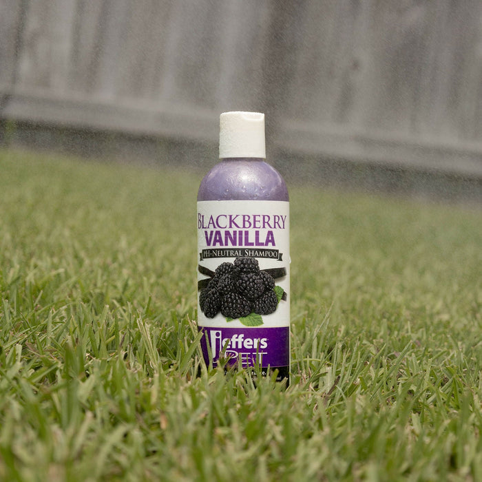 Jeffers Pet Blackberry Vanilla pH - Neutral Pet Shampoo - TZ1A - 17 oz - 1 - 3