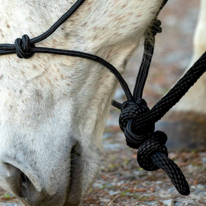 Jeffers Poly Braided Rope Horse Halter with Lead - 121EJ - Black - SIngle - 5