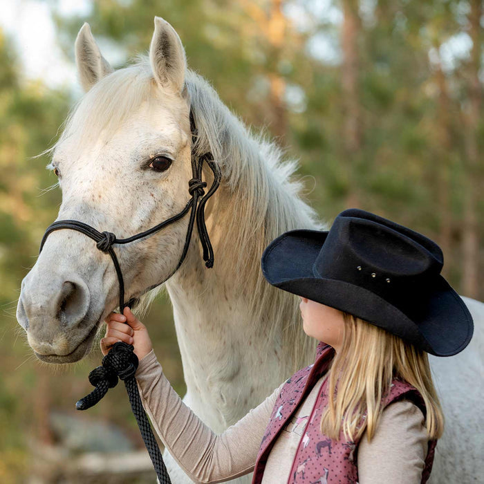 Jeffers Poly Braided Rope Horse Halter with Lead - 121EJ - Black - SIngle - 6