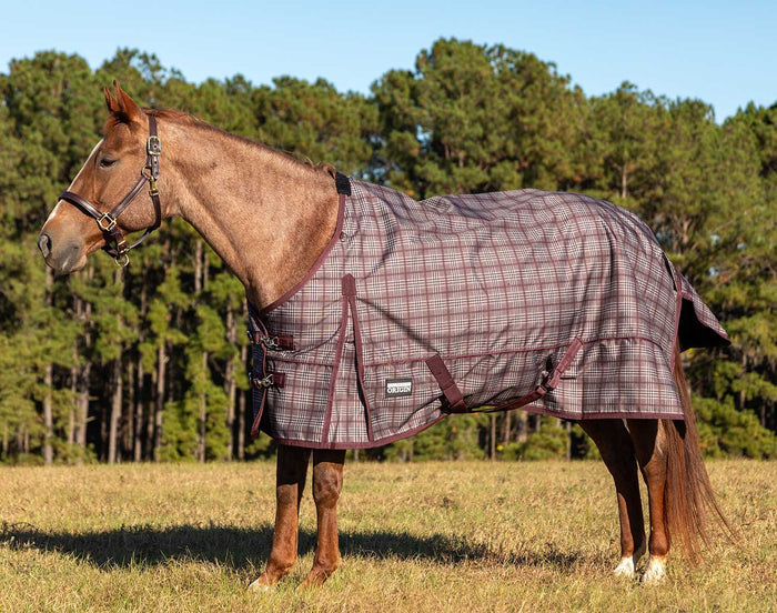 Espresso & Wine Plaid / 66 in