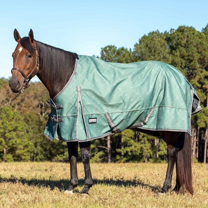Spruce Stirrup Irons / 66 in