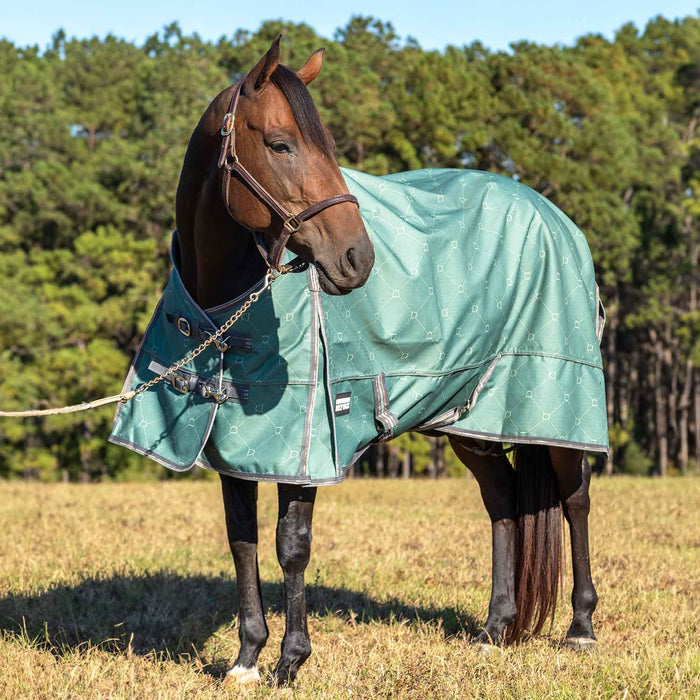 Jeffers Poplar Head Uniquely English 1200D Turnout Sheet, 0g - Waterproof & Breathable Lightweight Horse Blanket - GAG1PD - 66 in - Spruce Stirrup Irons - 1