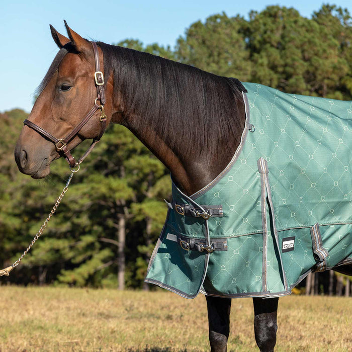 Jeffers Poplar Head Uniquely English 1200D Turnout Sheet, 0g - Waterproof & Breathable Lightweight Horse Blanket - GAG1PD - 66 in - Spruce Stirrup Irons - 2