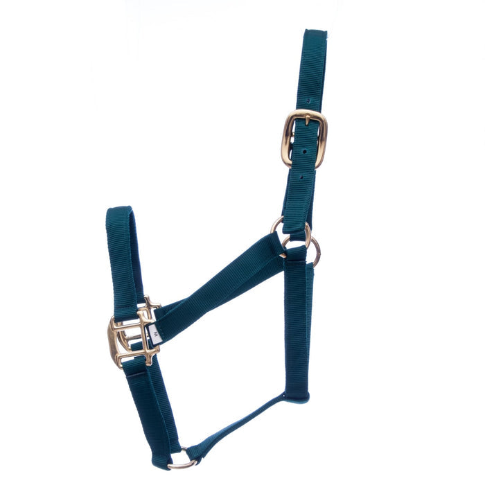 Jeffers Premium Nylon Weanling & Yearling Horse Halters, 3 - Ply, 1" - SSQ9 - Yearling (400 - 600 lbs) - Dark Green - 3