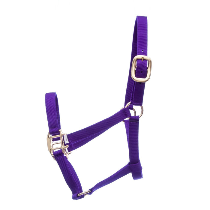 Jeffers Premium Nylon Weanling & Yearling Horse Halters, 3 - Ply, 1" - SSQ8 - Yearling (400 - 600 lbs) - Purple - 4