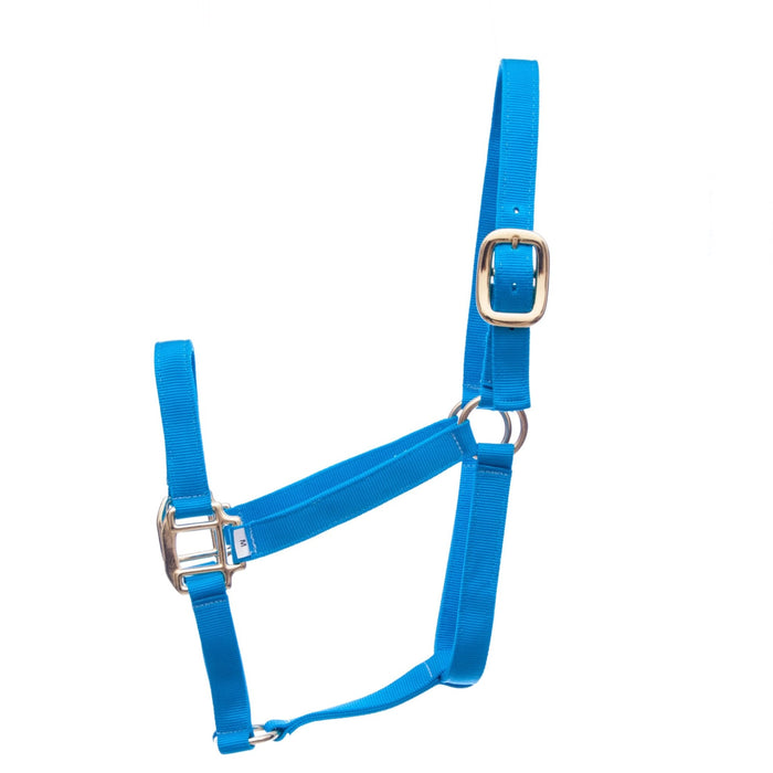 Jeffers Premium Nylon Weanling & Yearling Horse Halters, 3 - Ply, 1" - SSQ2 - Yearling (400 - 600 lbs) - Turquoise - 5