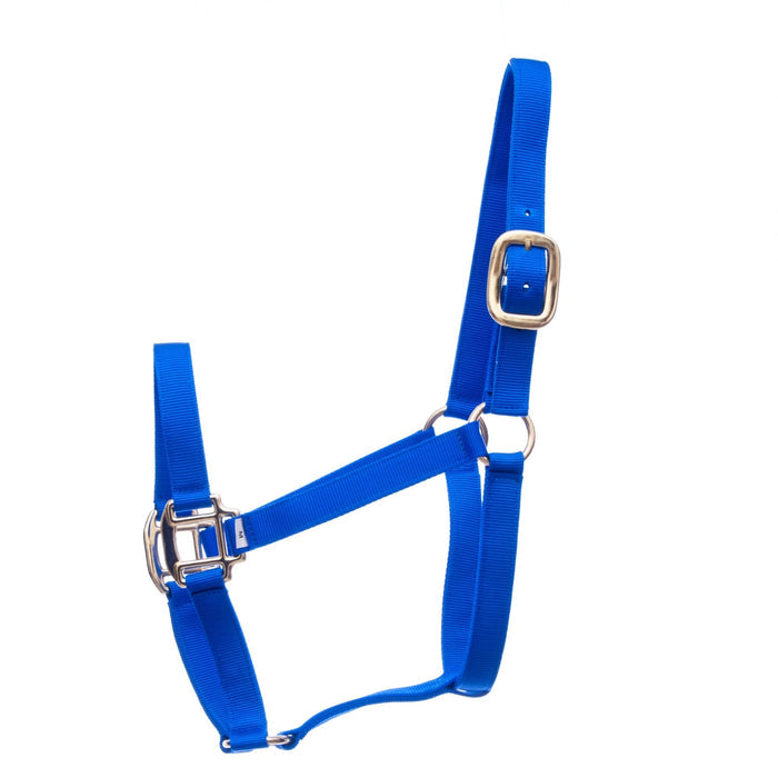 Jeffers Premium Nylon Weanling & Yearling Horse Halters, 3 - Ply, 1" - SSQ4 - Yearling (400 - 600 lbs) - Royal Blue - 6
