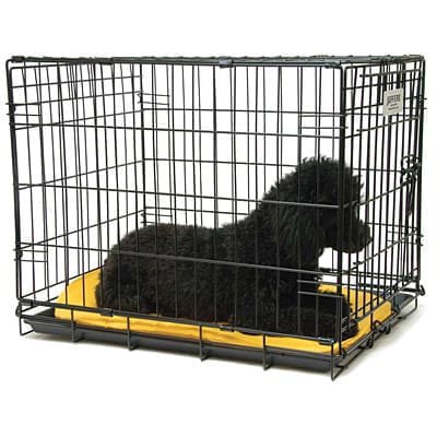 Jeffers Single Door Fold & Go Wire Dog Crate - I5B4 - Single Door Fold & Go Crate - 42"L x 28"W x 30"H - 2