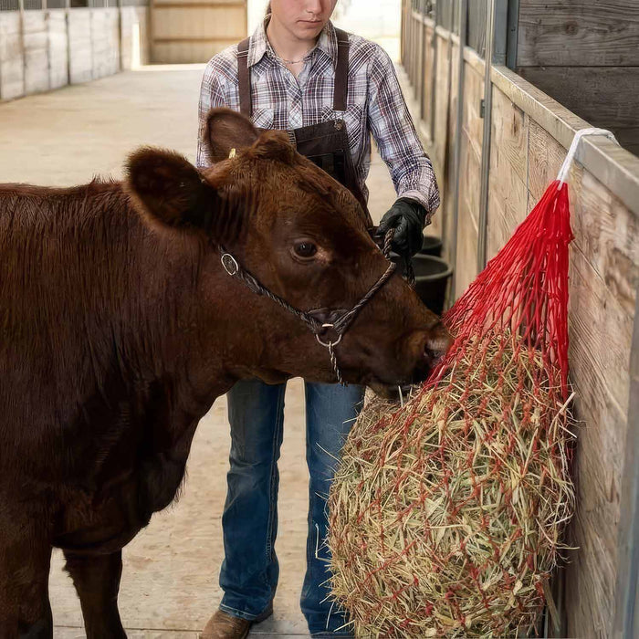Jeffers Slow Feed 2" x 2" Nylon Hay Net for Horses