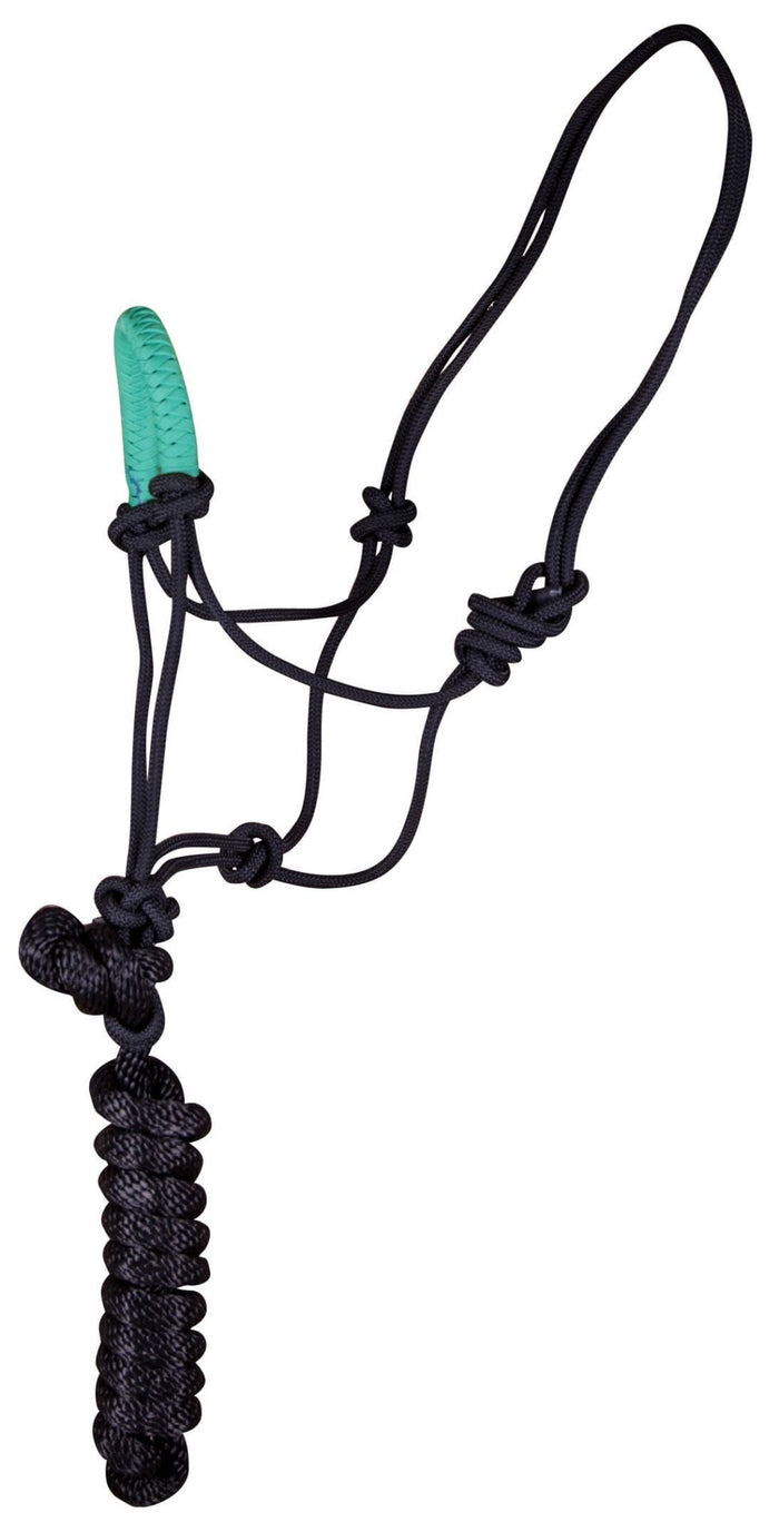 Jeffers Solid Nose Braided Poly Rope Horse Halter & Lead Set - 121SP - Turquoise - 2