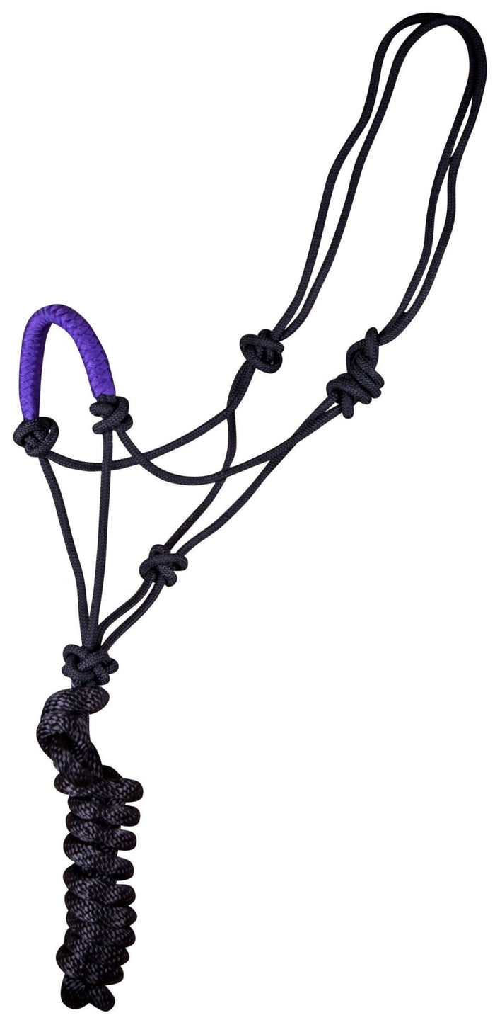 Jeffers Solid Nose Braided Poly Rope Horse Halter & Lead Set - 121SN - Purple - 4
