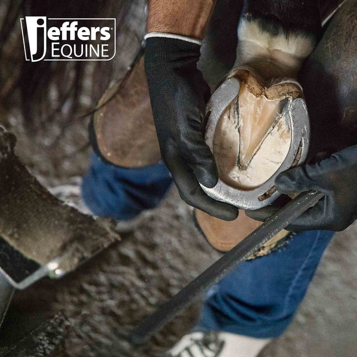 Jeffers Tanged Steel Hoof Rasp – Durable 10" & 14" Rasp for Horses, Ponies, Minis, Goats, and Sheep - IAA6 - 14"L - 7