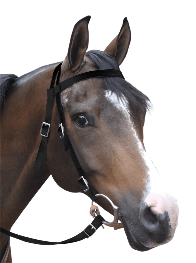 Jeffers Western Nylon Horse Bridle with 6' Split Reins Set - SS17 - Red - 1