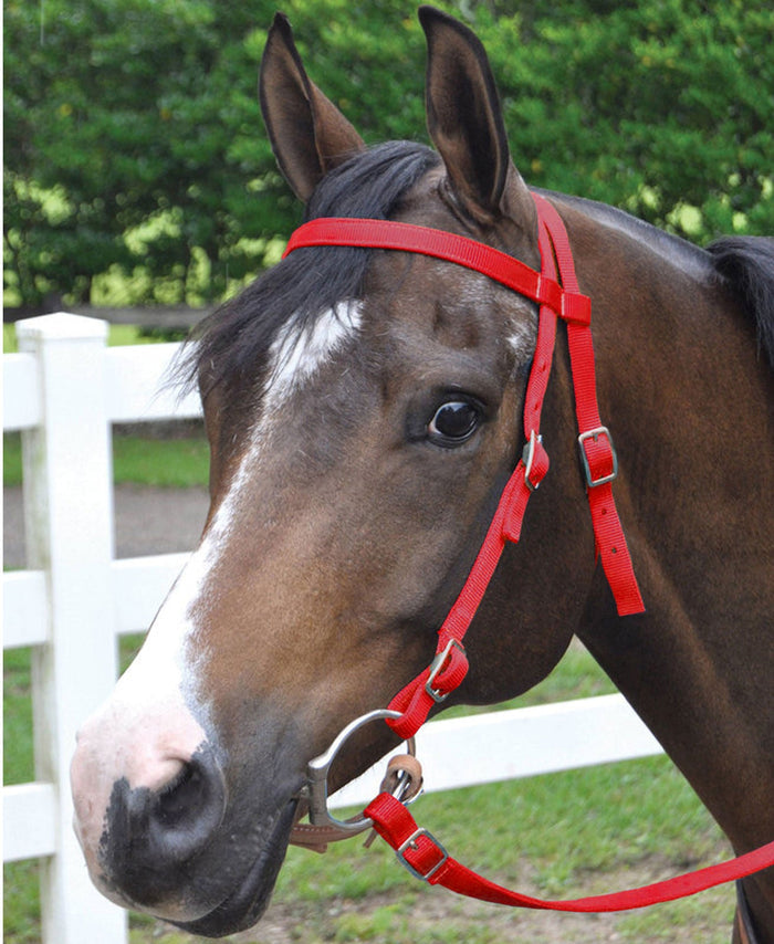 Jeffers Western Nylon Horse Bridle with 6' Split Reins Set - SS17 - Red - 4
