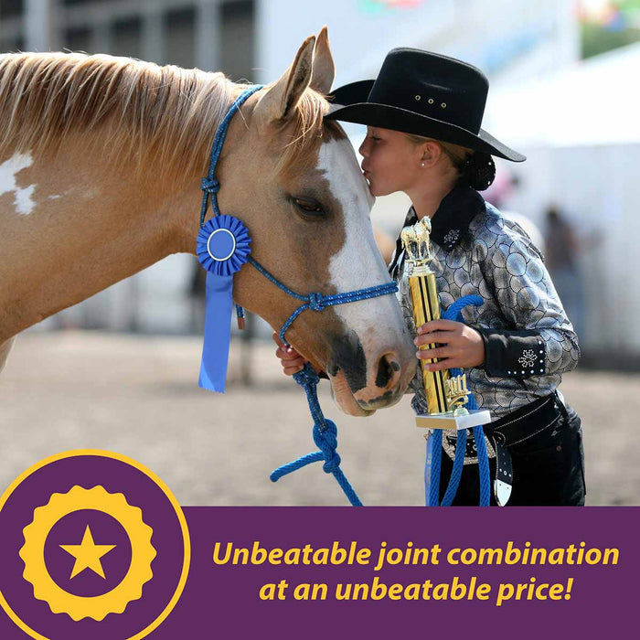 Joint Combo™ Pellets with Glucosamine and Chondroitin for Horses - H3J1 - 3.75 lbs - 3