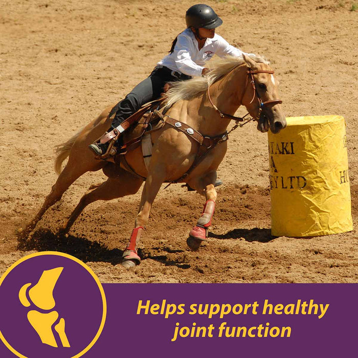 Joint Combo™ Pellets with Glucosamine and Chondroitin for Horses - H3J1 - 3.75 lbs - 4