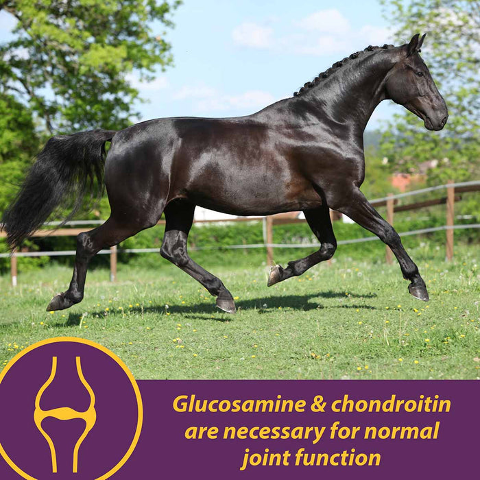 Joint Combo™ Pellets with Glucosamine and Chondroitin for Horses - H3J1 - 3.75 lbs - 5