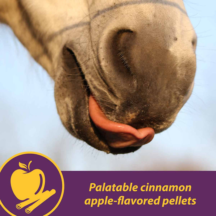 Joint Combo™ Pellets with Glucosamine and Chondroitin for Horses - H3J1 - 3.75 lbs - 6