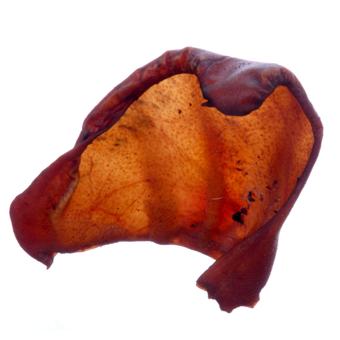 Jones Smoked Pig Ears - RQN3 - 100 count - 2