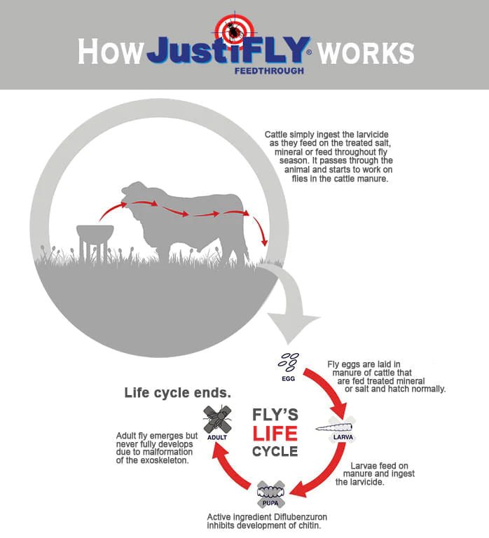 JustiFly 3% Feed - Thru Fly Control with Salt for Cattle - LEBE - 12 oz (360g) - 4